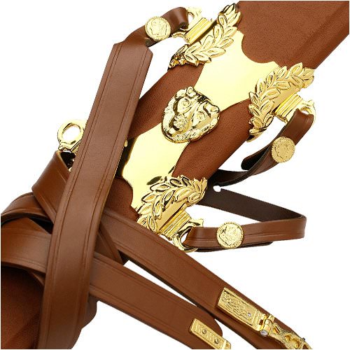 Maximus Roman Gladiator Sword Medieval Gladius